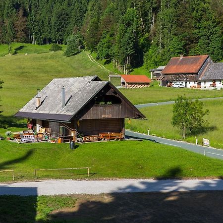 Brunarica Bled Zatrnik Pokljuka Esterno foto
