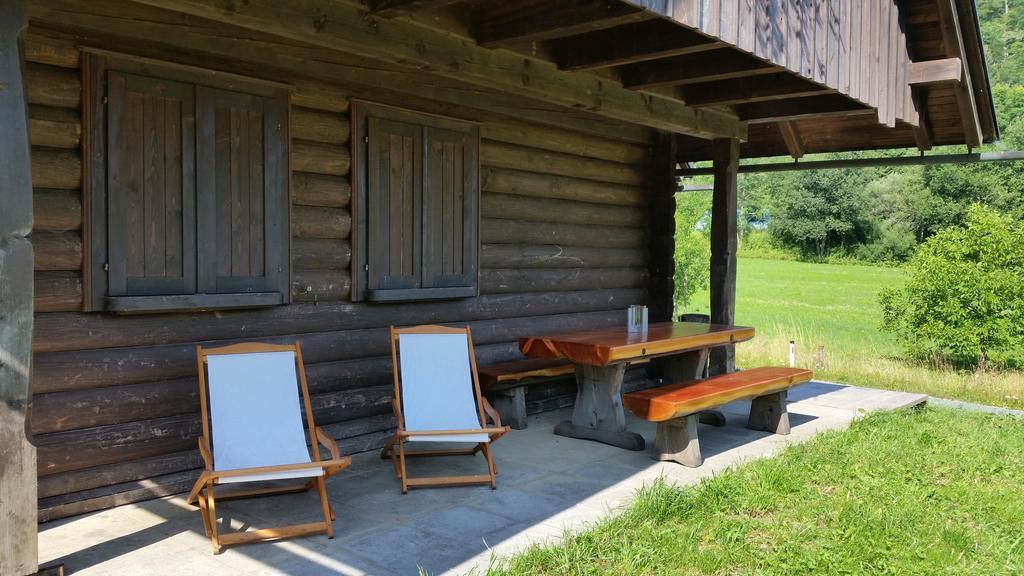 Brunarica Bled Zatrnik Pokljuka Camera foto