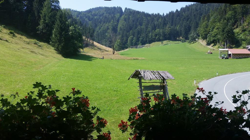 Brunarica Bled Zatrnik Pokljuka Camera foto