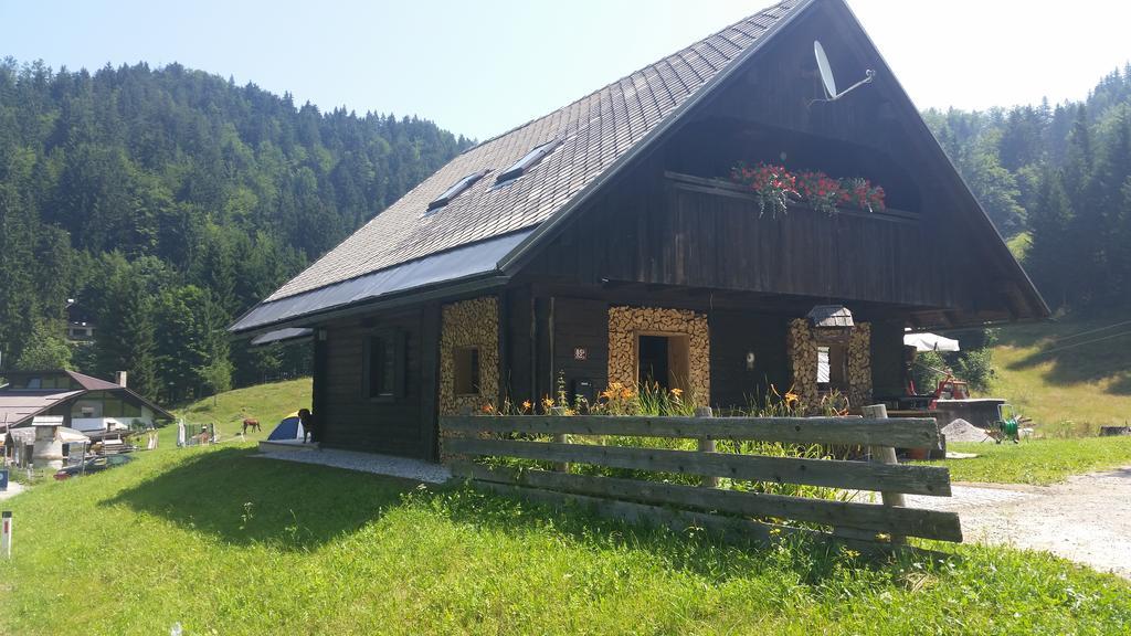 Brunarica Bled Zatrnik Pokljuka Camera foto