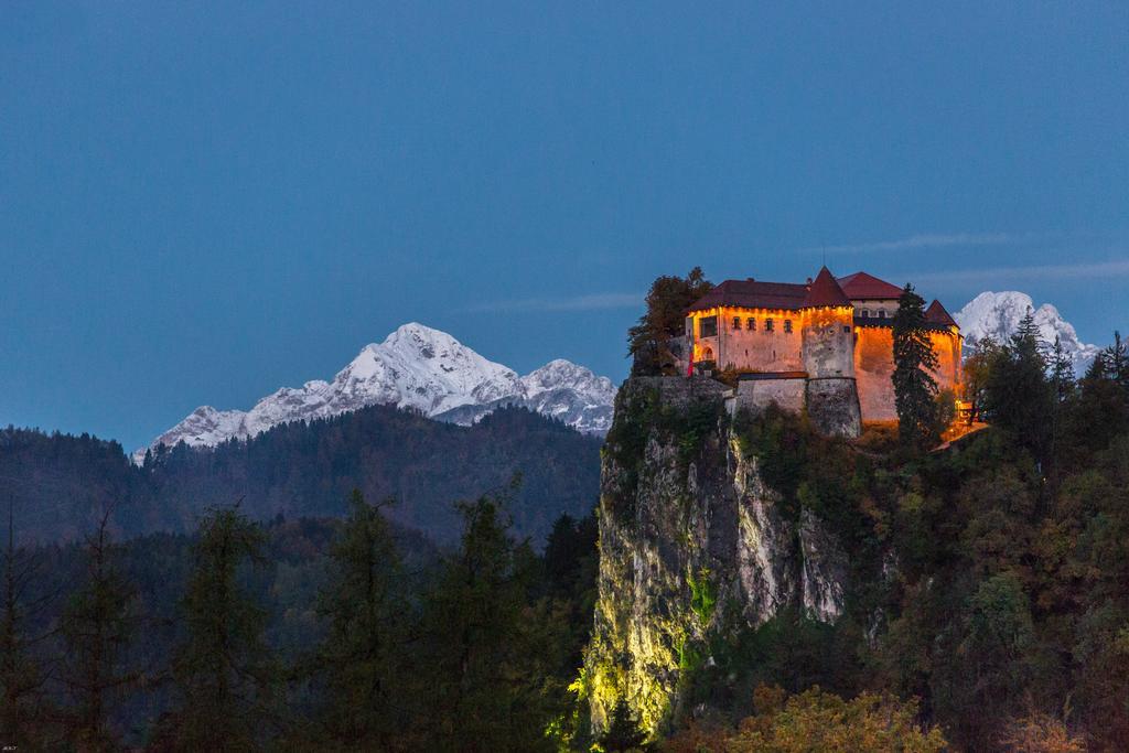 Brunarica Bled Zatrnik Pokljuka Esterno foto