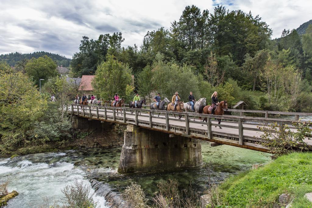 Brunarica Bled Zatrnik Pokljuka Esterno foto