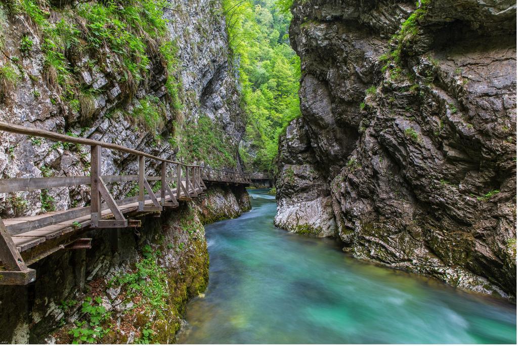 Brunarica Bled Zatrnik Pokljuka Esterno foto