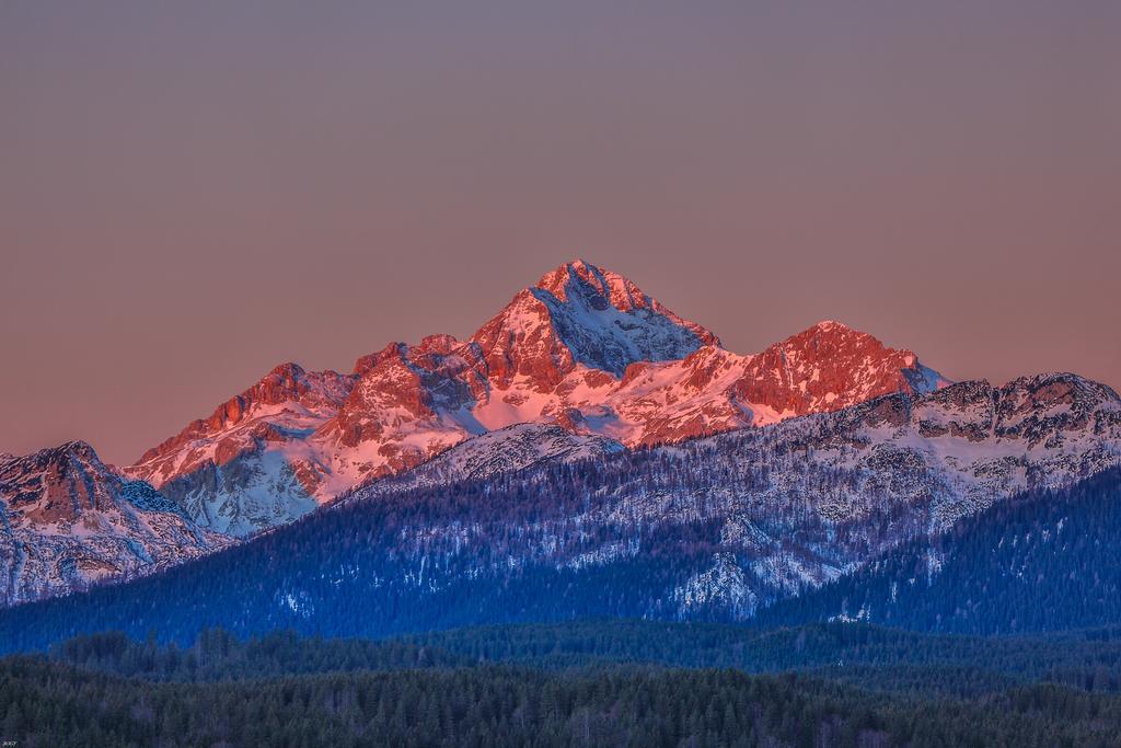 Brunarica Bled Zatrnik Pokljuka Esterno foto