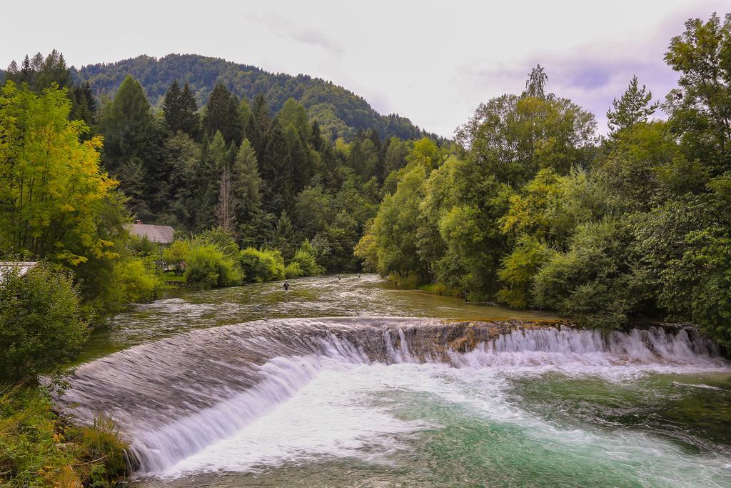 Brunarica Bled Zatrnik Pokljuka Esterno foto